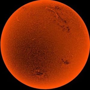 Meet your Posher, Xavier